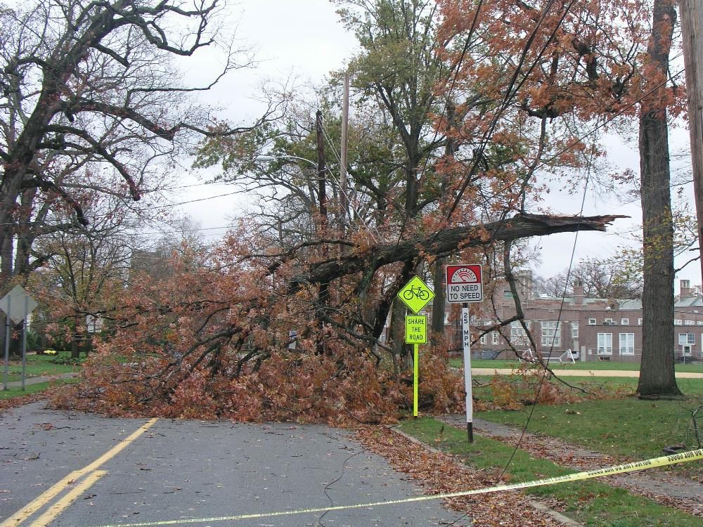 Disaster Operations 10